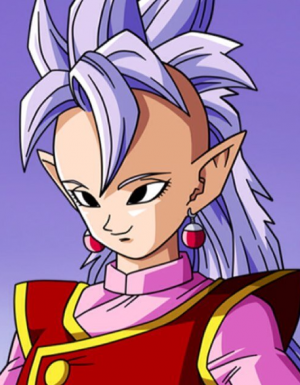 West Supreme Kai