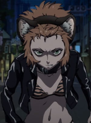 Display picture for Tora