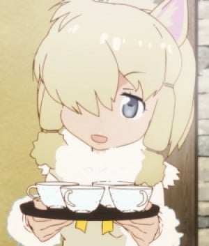Display picture for Suri Alpaca