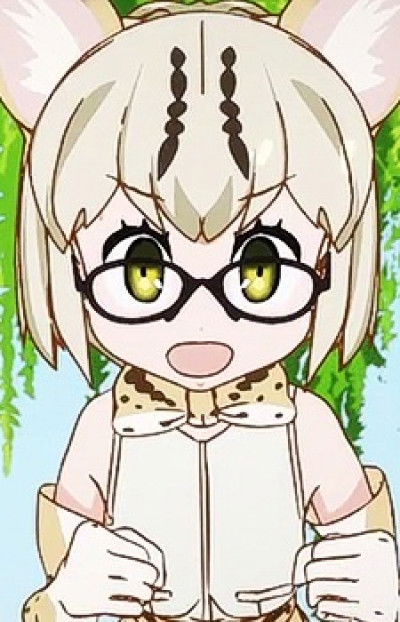 Display picture for Margay