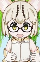 Margay portrait