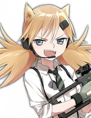 Display picture for IDW