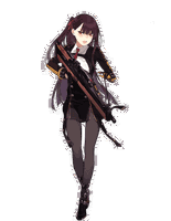 WA2000 portrait