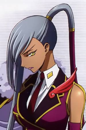 Display picture for Villetta Nu