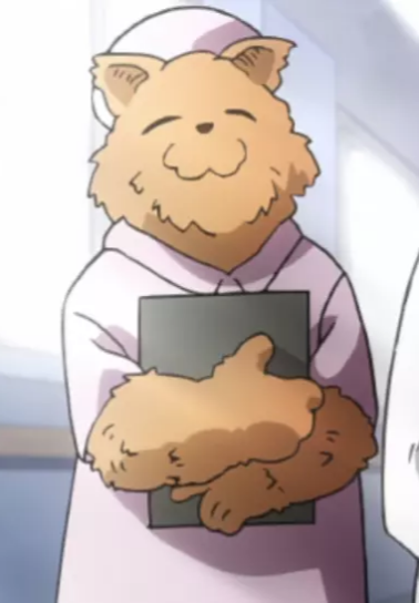 Bear Nurse