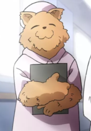 Bear Nurse