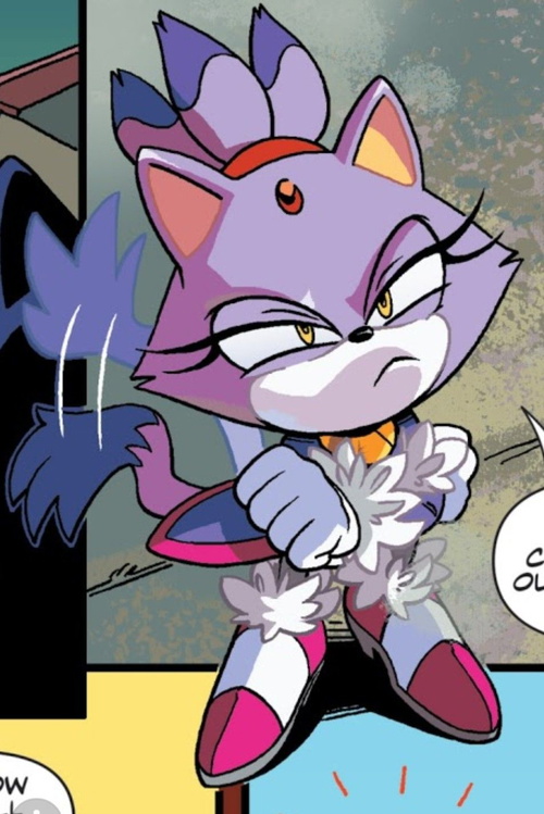Blaze the Cat