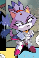 Blaze the Cat portrait