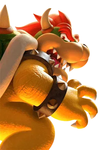 Display picture for Bowser