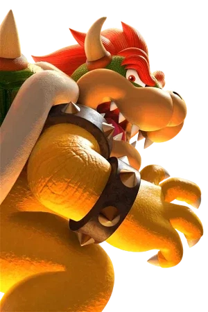 Bowser