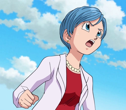 Bulma Briefs