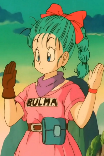 Display picture for Bulma Briefs
