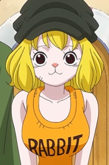 Carrot