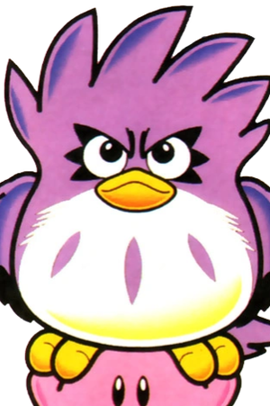 Coo