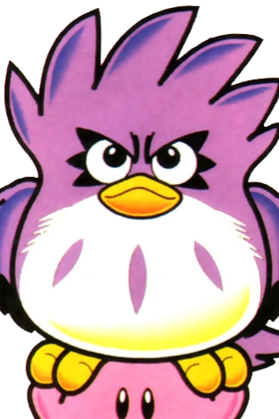 Coo