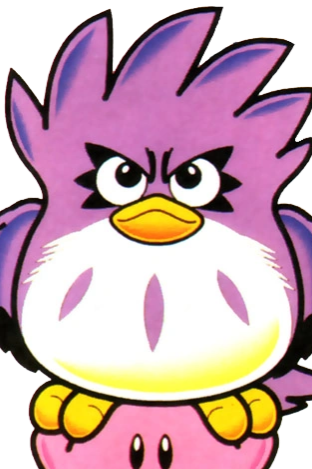 Coo