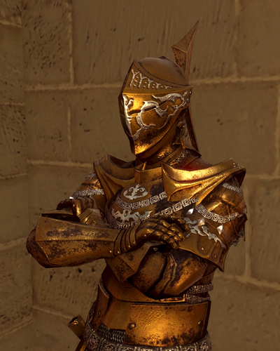 Darkmoon Knightess