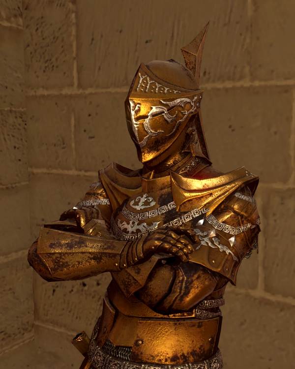 Darkmoon Knightess