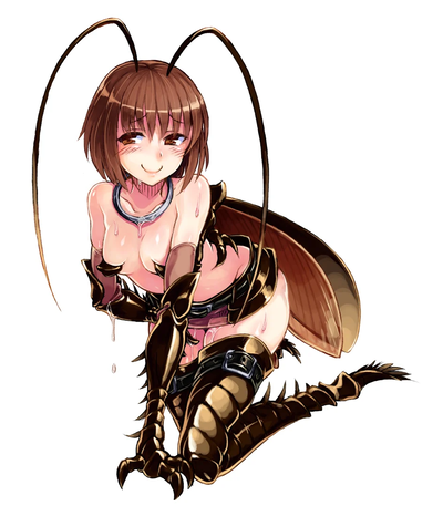 Devil Bug