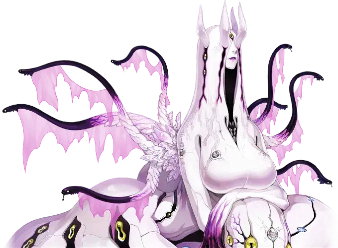 Display picture for Echidna