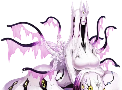 Echidna