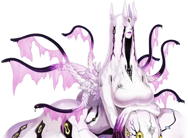 Echidna