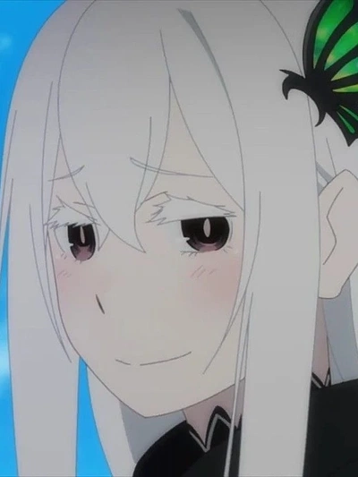 Echidna