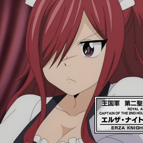 Erza Knightwalker