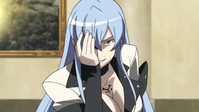 Esdeath portrait