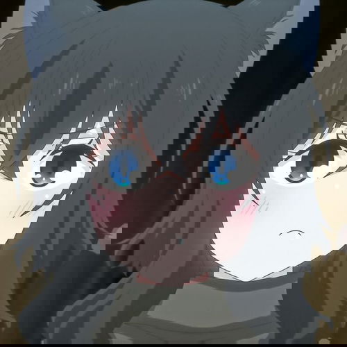 Display picture for Fran