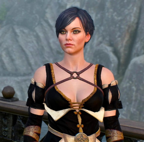 Fringilla Vigo