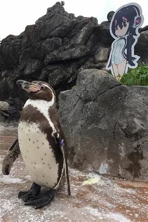 Grape-kun