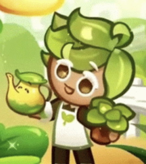 Herb Cookie