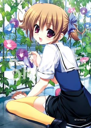 Makina Irisu