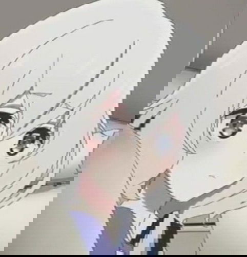 Display picture for Junko Konno