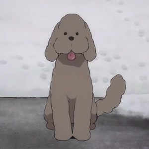 Makkachin