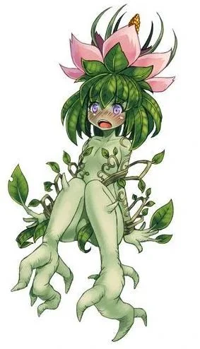 Mandragora
