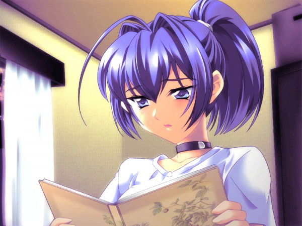 Display picture for Mitsuki Hayase
