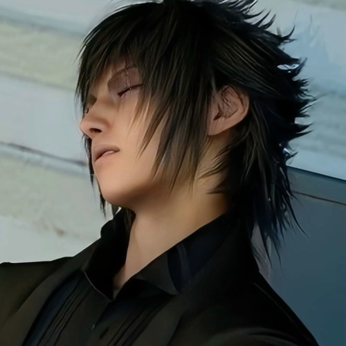Noctis Lucis Caelum
