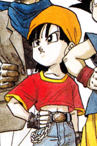 Pan Son