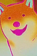 Display picture for Pochi