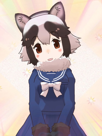 Raccoon Dog