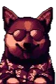 Rad Shiba