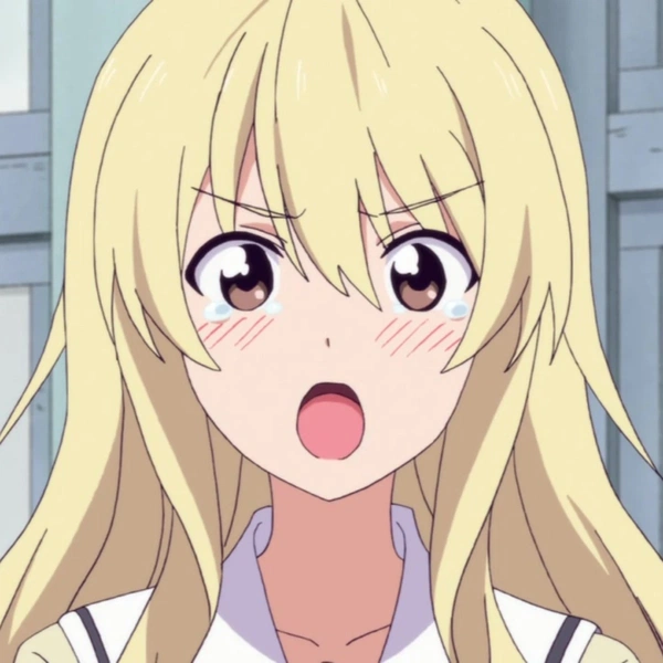Sayaka Sumino