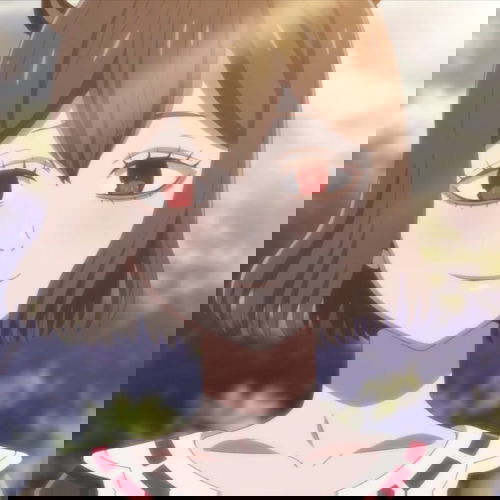 Display picture for Secre Swallowtail