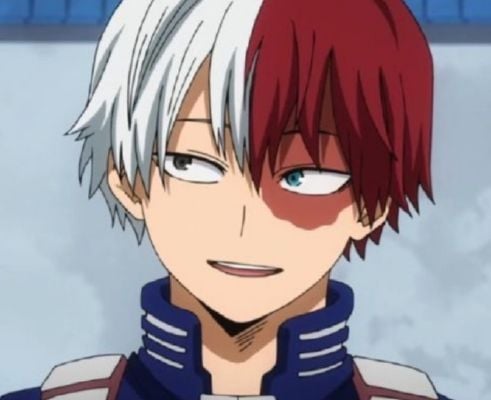 Display picture for Shoto Todoroki