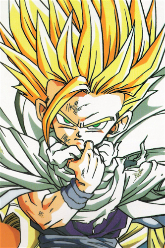 Display picture for Son Gohan
