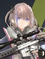 Spikes Tactical 10th Anniversary AR-15 portrait