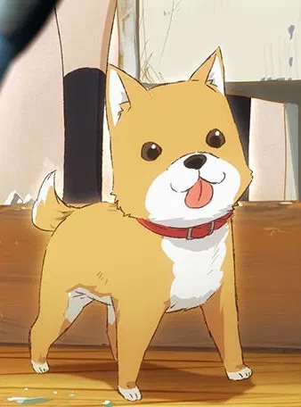 Display picture for Taromaru