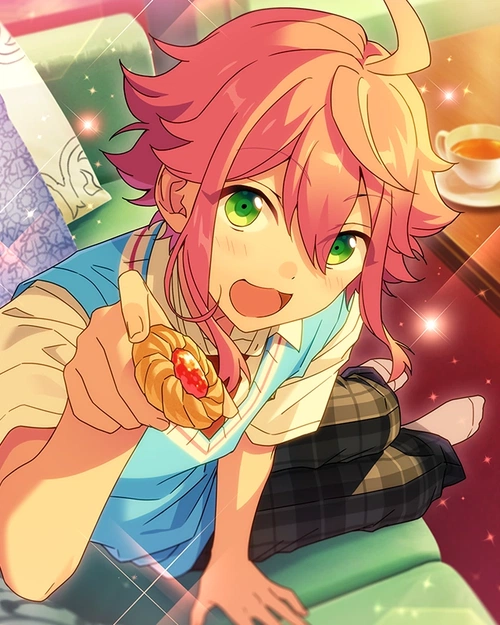 Tori Himemiya